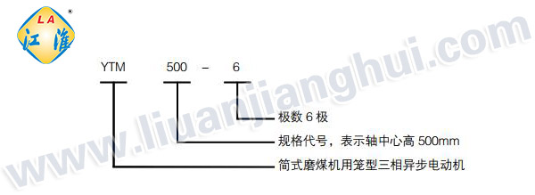 YTM磨煤機(jī)用高壓三相異步電動(dòng)機(jī)_型號意義說明_六安江淮電機(jī)有限公司