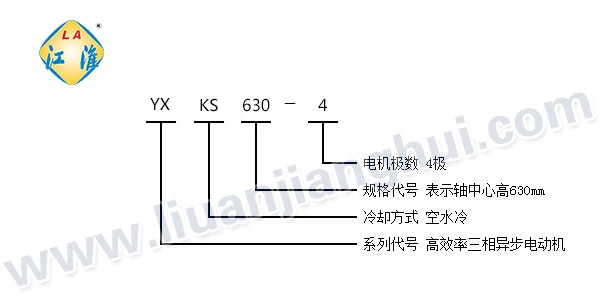 YXKS高效節(jié)能高壓三相異步電動(dòng)機(jī)_型號(hào)意義說明_六安江淮電機(jī)有限公司